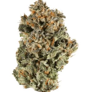 blackberry-kush-marijuana-strain-uk