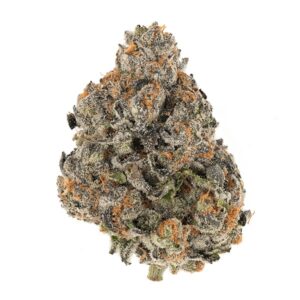 mag-landrace-marijuana-strain-uk